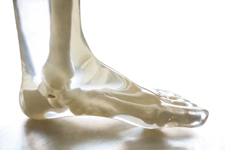 X-Ray Phantom foot, transparent isolated on white background の写真素材