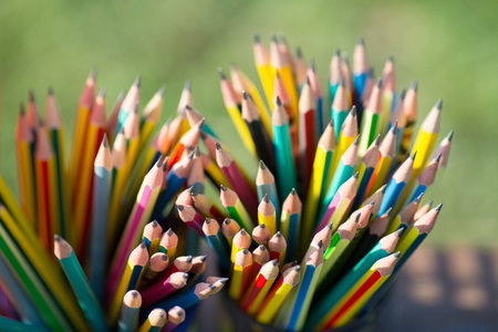 pencils in pencil holder on grass.の写真素材