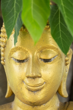 HEAD OF BUDDHA IMAGEの写真素材