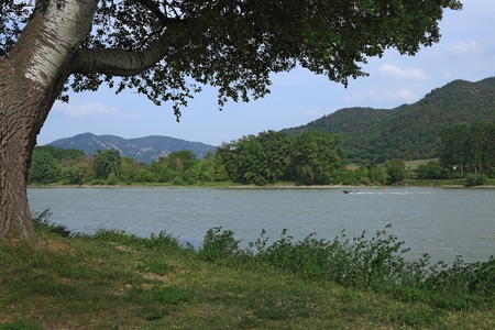 Donau river in Wahau valley, Austriaの写真素材