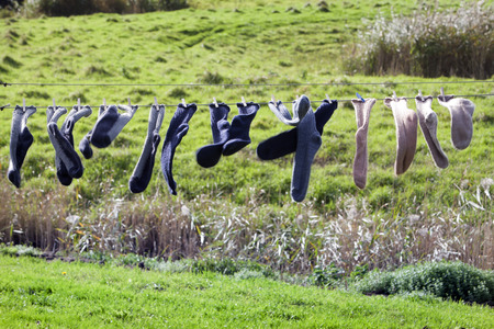 Rural scene of socks drying in the windの写真素材