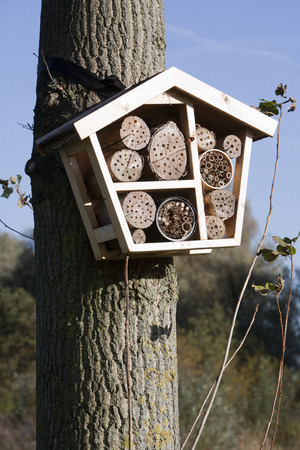 Solitary bee hotel is a shelter for different kind of insectsの写真素材