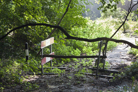 Barricade of Construction barriers and branchesの写真素材