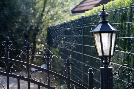 Dirty black fence entrance with cobwebs in a residential districtの写真素材