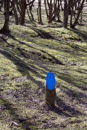 Blue painted pole as sign for a promenadeの写真素材