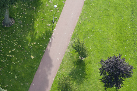 Aerial view of a path in a green environmentの写真素材