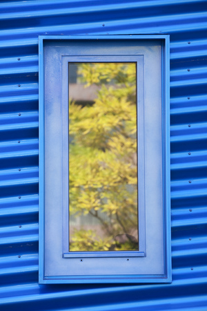 Reflections of a tree in a window of a blue metal buildingの写真素材