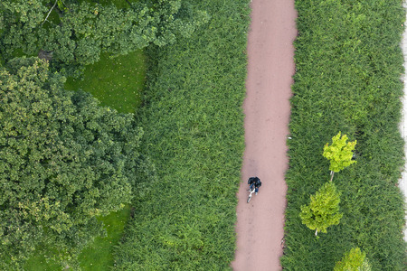 Aerial view of a cyclist on a bicycle path in a green environmentの写真素材