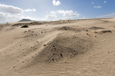 Sand dunes on Fuerteventuraの写真素材