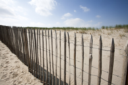 Wooden fence protecting the dunes in the Netherlandsの写真素材