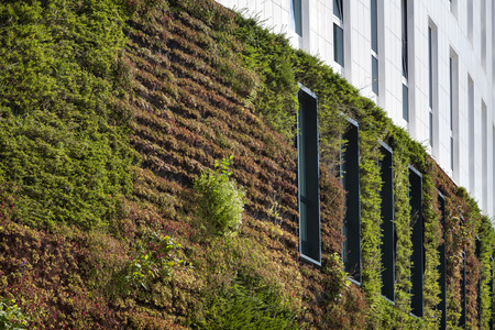 Building with green ecological wall covered with plants in Rotterdam in the Netherlandsの写真素材