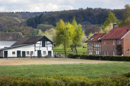 Farm and houses with some cows in the background in Limburg in the Netherlandsの写真素材