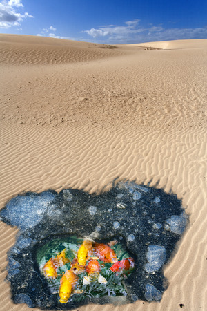Global warming concept with melting ice and increasing area of desertsの写真素材