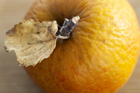 Detail of a wrinkled apple in autumnの写真素材
