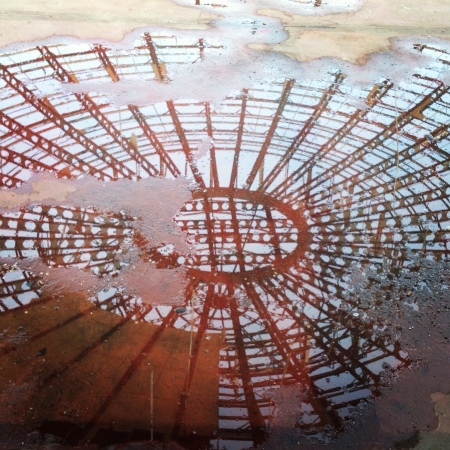 Life seen from a puddle of water の素材