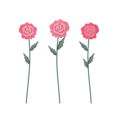 Botanical set with simple bright roses, stems and leaves for a different kind of design.のイラスト素材