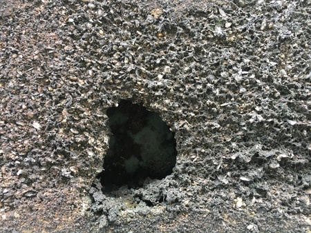 Algae, Fungus on damage concrete block wallの写真素材