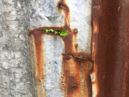 Close up damage zinc wallの写真素材