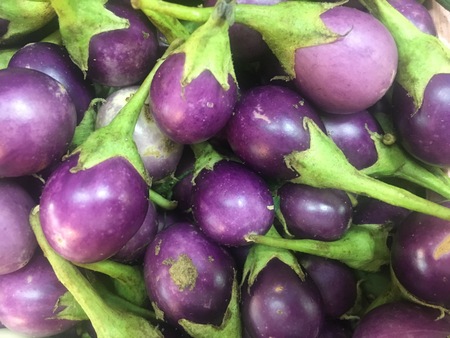 Fresh Thai Purple Eggplantの写真素材