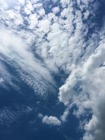 Tree tops of mixed forest under the cloudy, blue sky