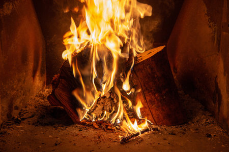 Fireplace with logs and fire