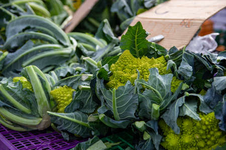 Sale of Romanesco in a flea marketの写真素材