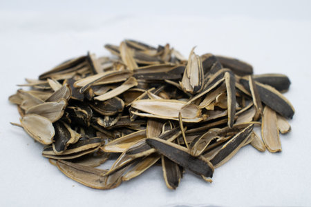 Sunflower seed shells on white background