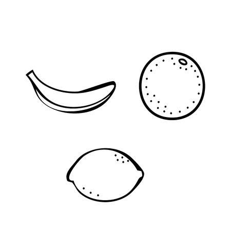 banana, orange and lemon outlines - vector of fruit isolated on white backgroundのイラスト素材