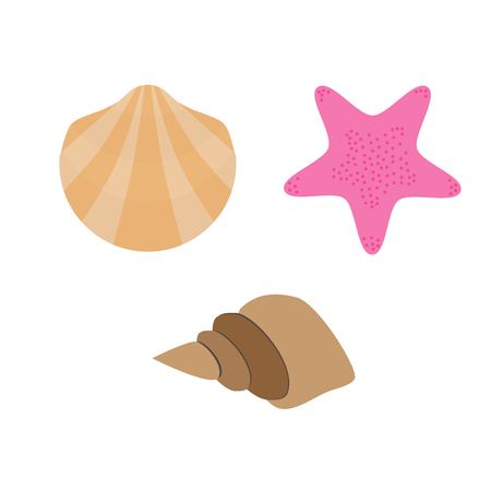 Set of shell, conch and starfishのイラスト素材