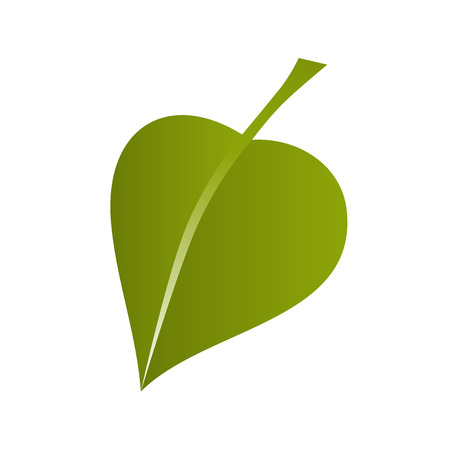 simple green leaf vector isolated on white backgroundのイラスト素材
