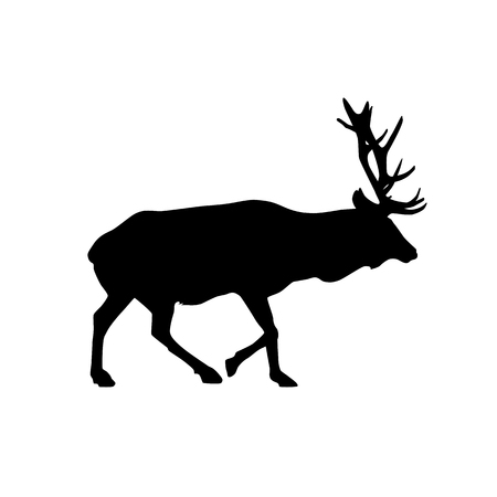 deer (wapiti) vector black silhouette isolated on white backgroundのイラスト素材