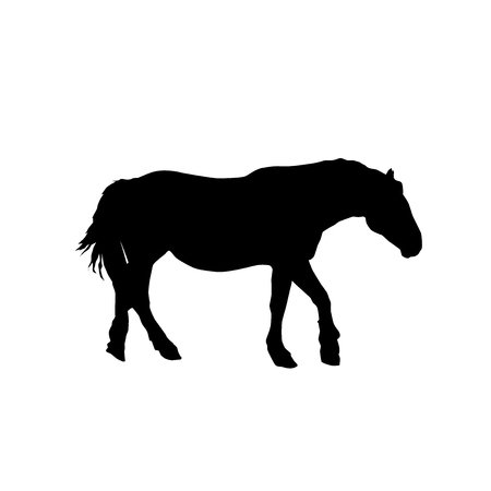 horse vector black silhouette from the side isolated on white backgroundのイラスト素材