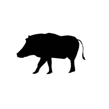 warthog (Phacochoerus africanus) vector black silhouette isolated on white backgroundのイラスト素材