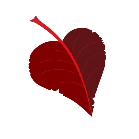 cartoon damaged autumn red linden leaf vector illustration isolated on white backgroundのイラスト素材