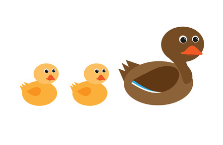 mother duck and ducklings in a row vector characters isolated on white backgroundのイラスト素材