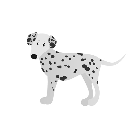 dalmatian vector dog silhouette isolated on white backgroundのイラスト素材
