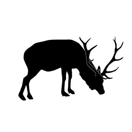 deer (wapiti) feeding vector black silhouette isolated on white backgroundのイラスト素材