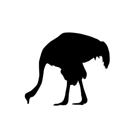 feeding ostrich from profile vector black silhouette isolated on white backgroundのイラスト素材
