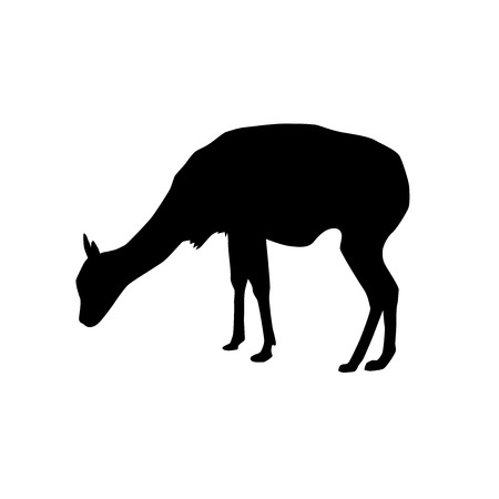 vicugna (species of llama) silhouette vector isolated on white backgroundのイラスト素材