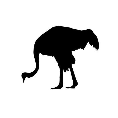 feeding ostrich from profile vector black silhouette isolated on white backgroundのイラスト素材