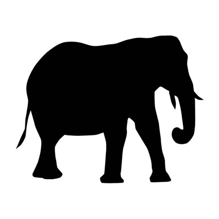 african elephant (Loxodonta) from side with trunk down and curled silhouette vector isolated on white backgroundのイラスト素材