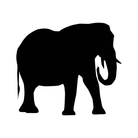 african elephant (Loxodonta) from side with trunk down and curled silhouette vector isolated on white backgroundのイラスト素材