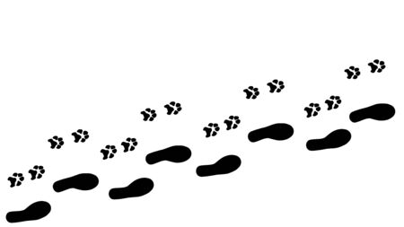 dog and human tracks going together diagonally diasilhouettes vector isolated on white backgroundのイラスト素材