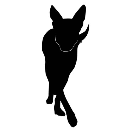 big dog going forward from the front silhouette vector isolated on white backgroundのイラスト素材