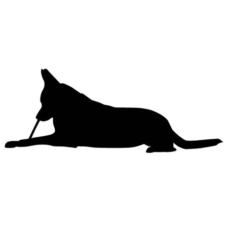 big dog lying and bitting stick from the side, silhouette vector isolated on white backgroundのイラスト素材