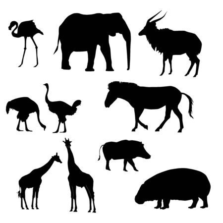 set of slhouettes of african animals (ostrich, giraffe, elephant, zebra, warthog, nyala, flamingo, pigmy hippo) vector isolated on white backgroundのイラスト素材