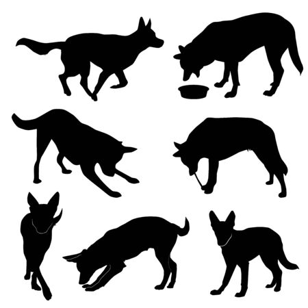 set of silhouettes of big dog in move (run, play, sniff, eat, walk, bite), vector isolated on white backgroundのイラスト素材