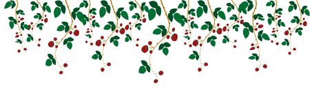 decorative natural rim, wild hanging raspberry branches vector illustration isolated on white backgroundのイラスト素材