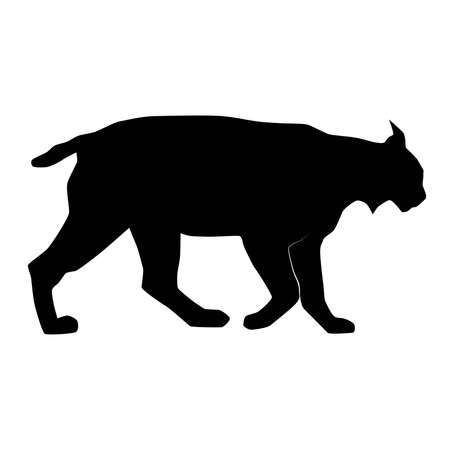 Euroasian lynx (Lynx lynx) walking from profile, vector silhouette of animalのイラスト素材