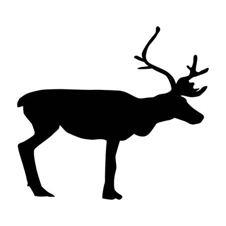 reindeer (Rangifer tarandus), caribou, vector silhouette isolated on white backgroundのイラスト素材